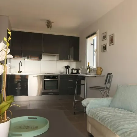 2 Pieces Meublees Avec Piscine, Proche De Mandelieu * Tanneron