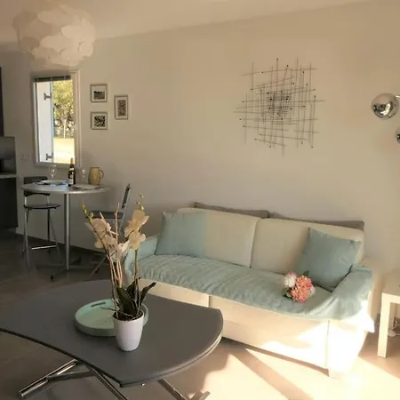 Apartment 2 Pieces Meublees Avec Piscine, Proche De Mandelieu Tanneron